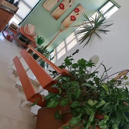 Apartamento Katarina 2 *