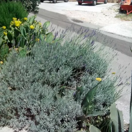 Katarina 2 Apartment